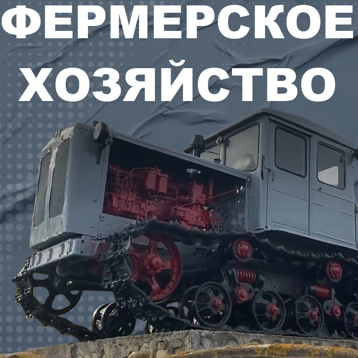 Фермерское хозяйство
